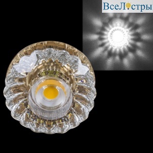 09097-9.0-001T LED COB10W GD