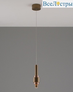 V10858-PL