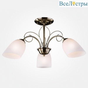 30107/3 античная бронза