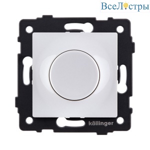 REA-048WH