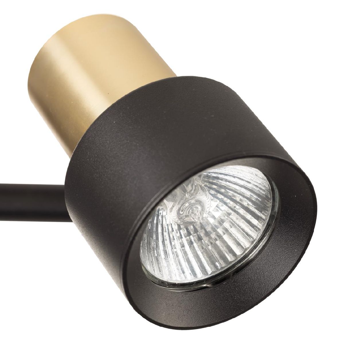 спот citilux sat cl505621