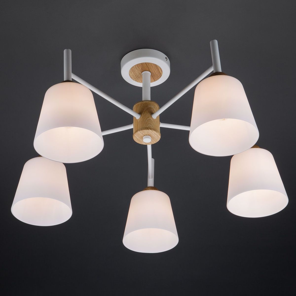 потолочная люстра eurosvet fresco 70085/5 белый