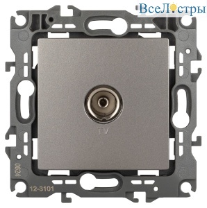 Б0065717