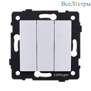 REA-R-012WH