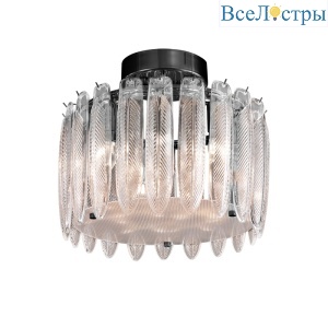 MX22027002-D45 matt black