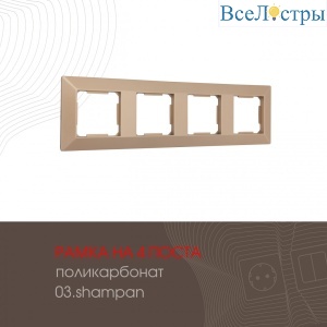 503.03-4.shampan