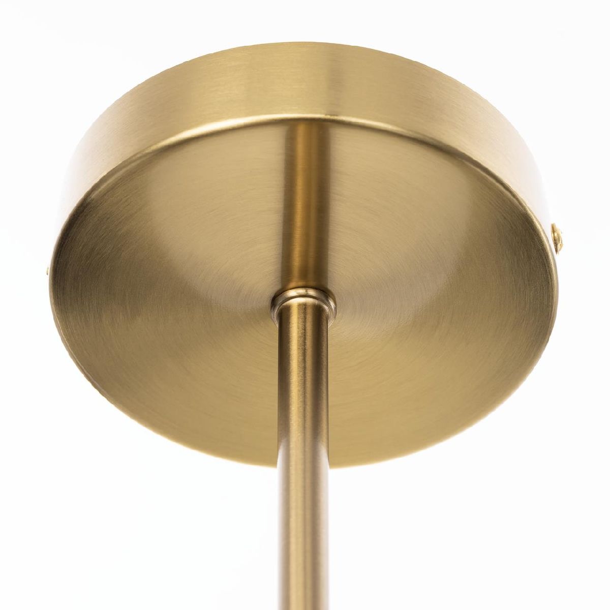 люстра на штанге citilux tonga cl212173