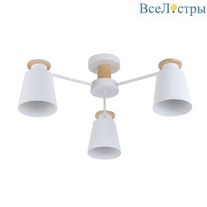 Б0053435