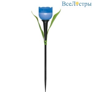 USL-C-454/PT305 Blue Tulip