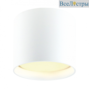 ЦБ-00010274