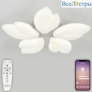 LED LAMPS 81116