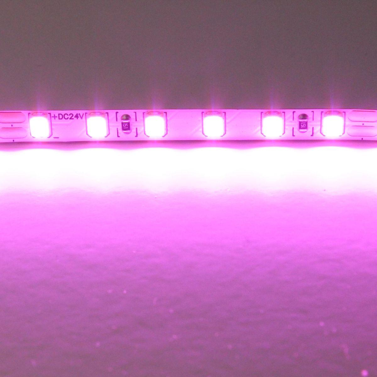 светодиодная лента lightstar 12w/m 120led/m розовый 5m 420512