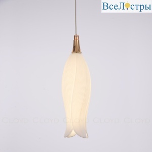 10954