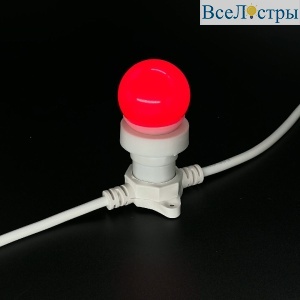 LAMP1-2R