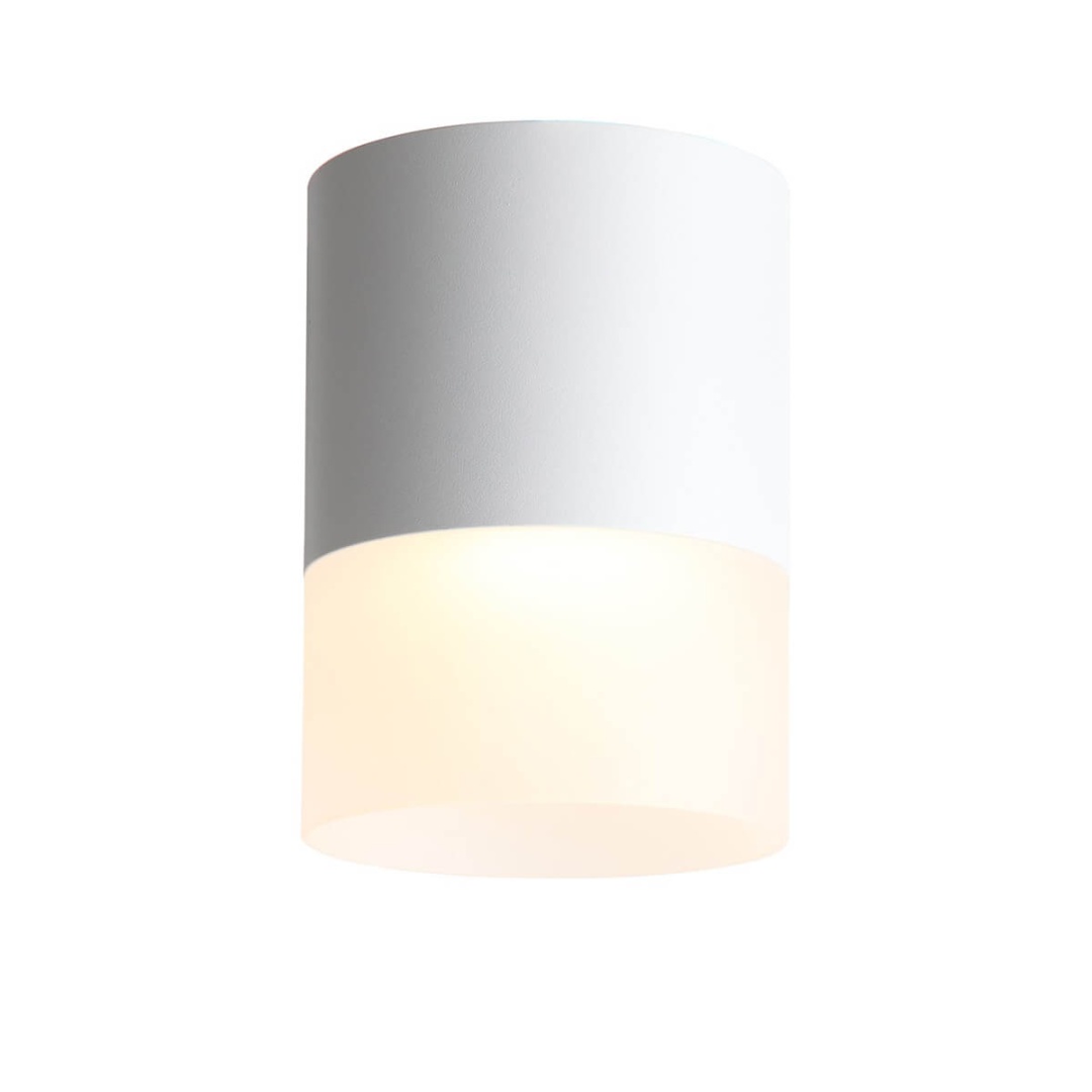 Ottu ST Luce