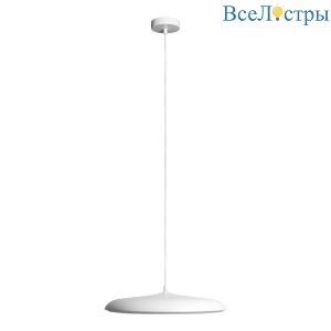10119 White