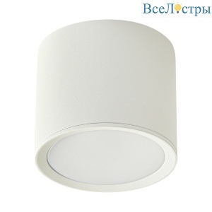 53005-9.5-001LD GX53 WT