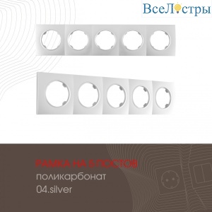 502.04-5.silver