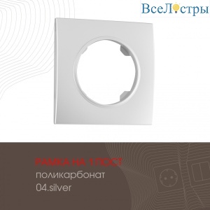 502.04-1.silver