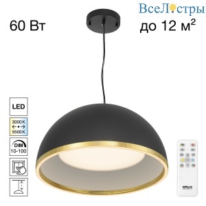 CL736251