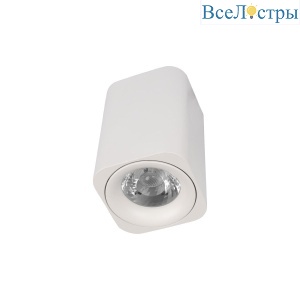 10329 White