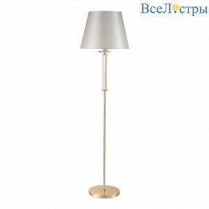 Nicolas PT1 Gold/White