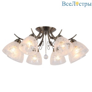 OML-53807-08