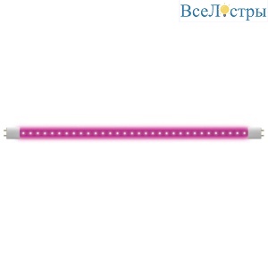 LED-T8-9W/SPSB/G13/CL PLP30WH