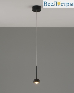 V10891-PL