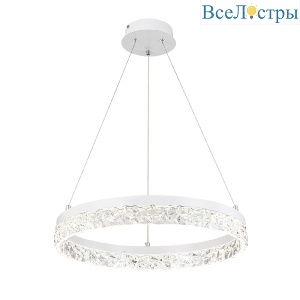 10224/SG LED