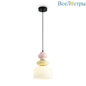 FR5595PL-01B4