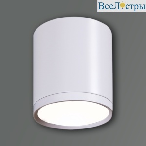 81050-9.5-001RT LED5W WT