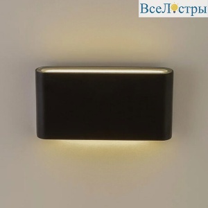 AM244-2Х7W BK