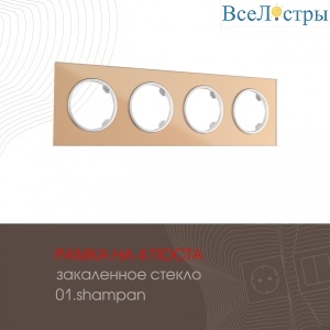 502.01-4.shampan