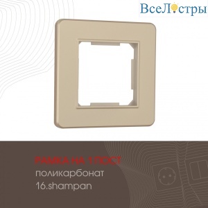 502.16-1.shampan