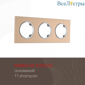 502.11-3.shampan