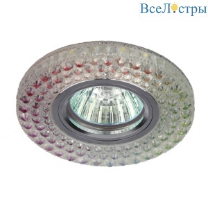 Б0028081