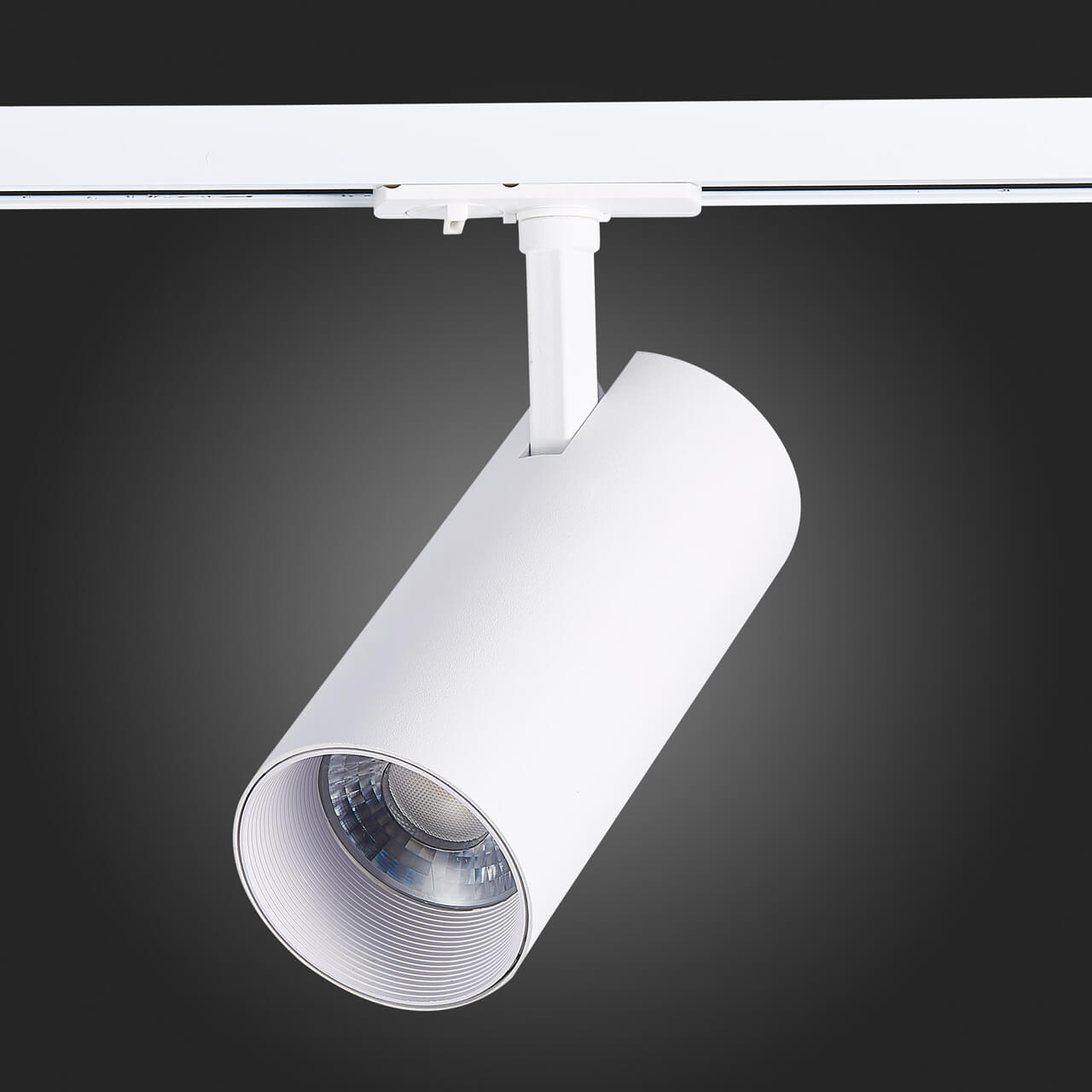 трековый светильник st luce mono st350.546.30.24