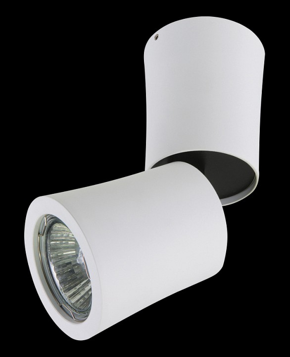 накладной светильник lightstar rotonda 214456