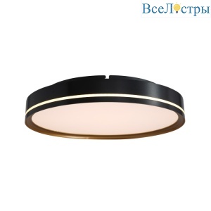 C0527-400A black/gold
