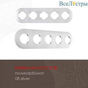 502.08-5.silver