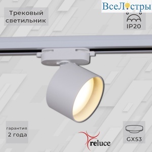 06310-9.3-001CN GX53 WT