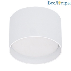 53006-9.5-001LD GX53 WT