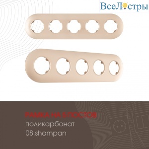 502.08-5.shampan