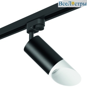 R1T43736