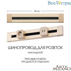 382305TO/50 Gold