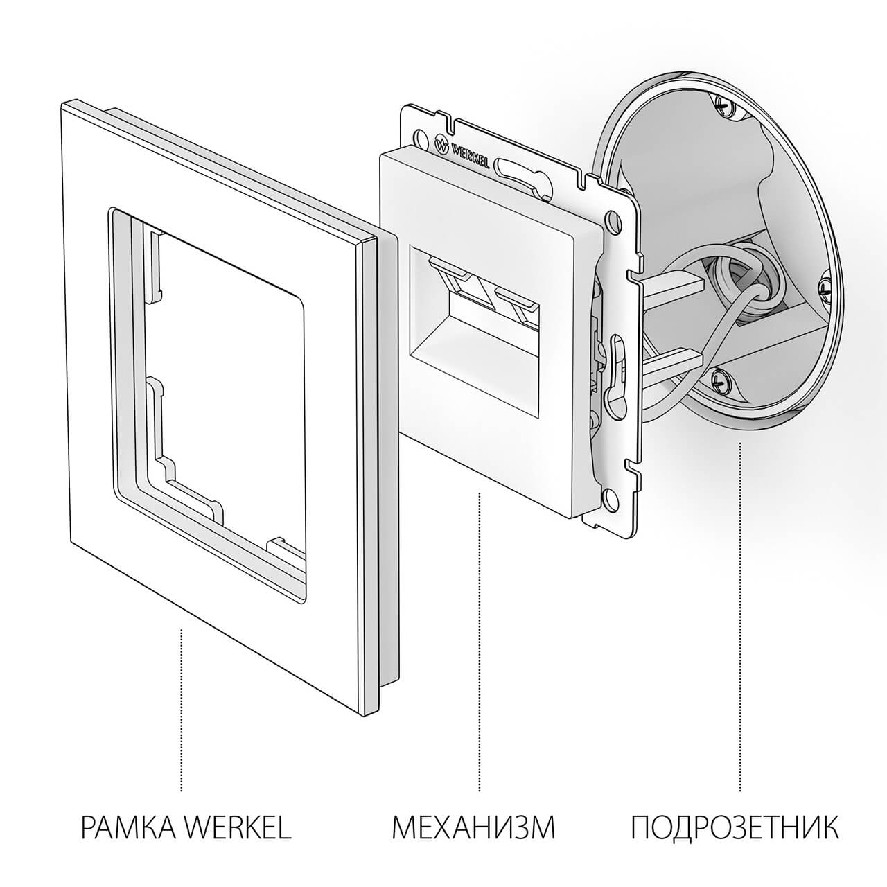 розетка двойная ethernet rj-45 werkel слоновая кость w1181103 4690389155864