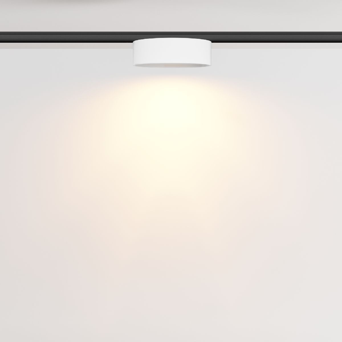трековый магнитный светильник maytoni zon tr189-1-12w2.7k-bw