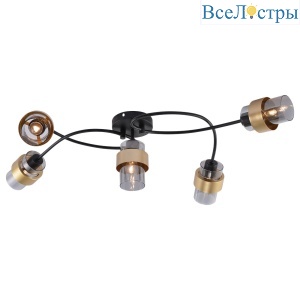 1139/5P Black/Gold