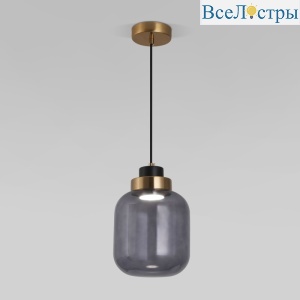 50240/1 LED дымчатый